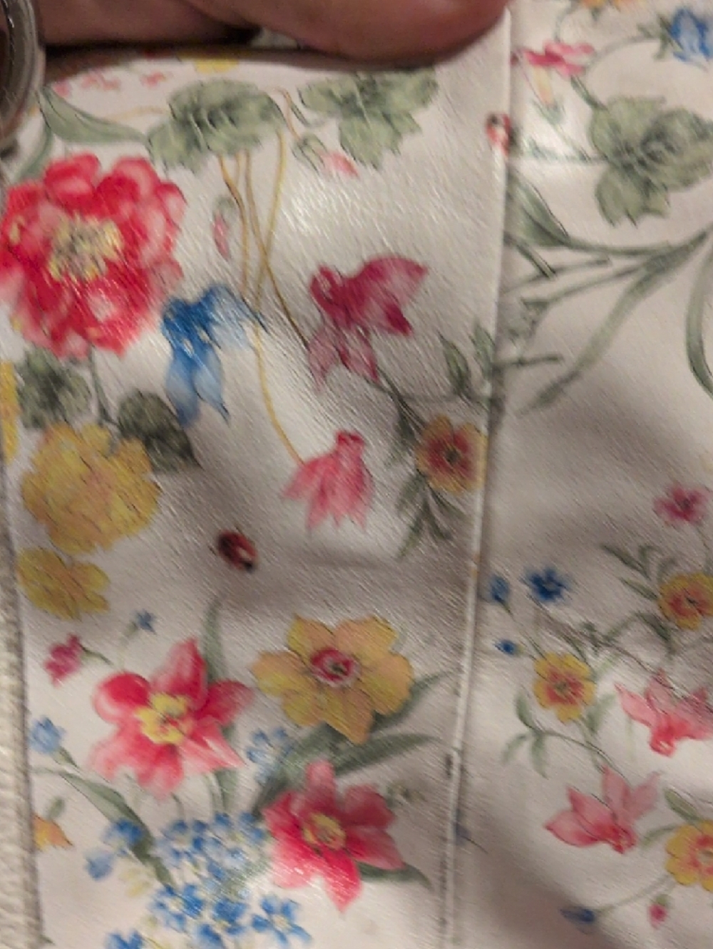 Cecconi Peiro Cream Floral & Ladybug  Leather Shoulder Bag - Picture 7 of 9